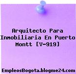 Arquitecto Para Inmobiliaria En Puerto Montt [V-919]