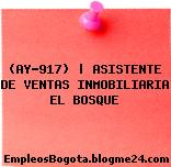 (AY-917) | ASISTENTE DE VENTAS INMOBILIARIA EL BOSQUE
