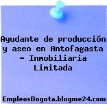 Ayudante de producción y aseo en Antofagasta – Inmobiliaria Limitada