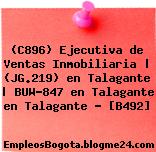 (C896) Ejecutiva de Ventas Inmobiliaria | (JG.219) en Talagante | BUW-847 en Talagante en Talagante – [B492]