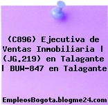 (C896) Ejecutiva de Ventas Inmobiliaria | (JG.219) en Talagante | BUW-847 en Talagante