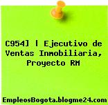 C954] | Ejecutivo de Ventas Inmobiliaria, Proyecto RM