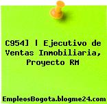 C954] | Ejecutivo de Ventas Inmobiliaria, Proyecto RM