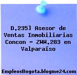 D.235] Asesor de Ventas Inmobiliarias Concon – ZWW.283 en Valparaíso