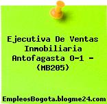 Ejecutiva De Ventas Inmobiliaria Antofagasta O-1 – (MB205)
