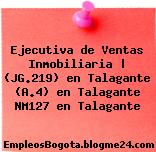 Ejecutiva de Ventas Inmobiliaria | (JG.219) en Talagante (A.4) en Talagante NM127 en Talagante