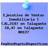 Ejecutiva de Ventas Inmobiliaria | (JG.219) en Talagante (A.4) en Talagante NM127