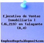 Ejecutiva de Ventas Inmobiliaria | (JG.219) en Talagante (A.4)