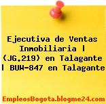 Ejecutiva de Ventas Inmobiliaria | (JG.219) en Talagante | BUW-847 en Talagante