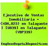 Ejecutiva de Ventas Inmobiliaria – (XOH.823) en Talagante | [U839] en Talagante (VBP339)