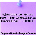 Ejecutiva de Ventas Part Time Inmobiliaria (Cerrillos) | [AN901]