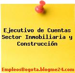 Ejecutivo de Cuentas Sector Inmobiliaria y Construcción