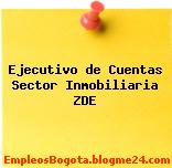 Ejecutivo de Cuentas Sector Inmobiliaria ZDE