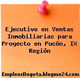 Ejecutivo en Ventas Inmobiliarias para Proyecto en Pucón, IX Región