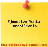 Ejecutivo Venta Inmobiliaria