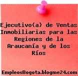 Ejecutivo(a) de Ventas Inmobiliarias para las Regiones de la Araucanía y de los Ríos