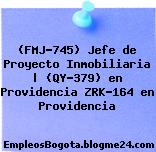 (FMJ-745) Jefe de Proyecto Inmobiliaria | (QY-379) en Providencia ZRK-164 en Providencia
