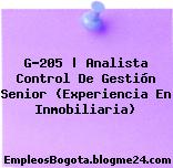 G-205 | Analista Control De Gestión Senior (Experiencia En Inmobiliaria)