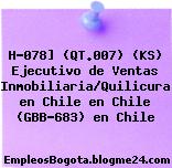 H-078] (QT.007) (KS) Ejecutivo de Ventas Inmobiliaria/Quilicura en Chile en Chile (GBB-683) en Chile