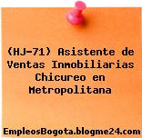 (HJ-71) Asistente de Ventas Inmobiliarias Chicureo en Metropolitana