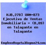 HJB.278] UWM-873 Ejecutiva de Ventas Inmobiliaria – (B.89) en Talagante en Talagante