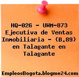 HQ-026 – UWM-873 Ejecutiva de Ventas Inmobiliaria – (B.89) en Talagante en Talagante