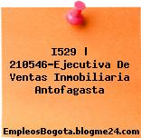 I529 | 210546-Ejecutiva De Ventas Inmobiliaria Antofagasta