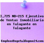 I.725 NB-215 Ejecutiva de Ventas Inmobiliaria en Talagante en Talagante