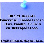IAE173 Gerente Comercial Inmobiliaria – Las Condes (Z-673) en Metropolitana