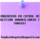 INGENIERO EN COTROL DE GESTION INMOBILIARIA | (RN543)
