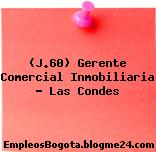 (J.60) Gerente Comercial Inmobiliaria – Las Condes