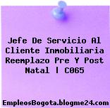 Jefe De Servicio Al Cliente Inmobiliaria Reemplazo Pre Y Post Natal | C065