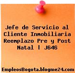 Jefe de Servicio al Cliente Inmobiliaria Reemplazo Pre y Post Natal | J646