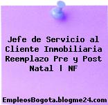 Jefe de Servicio al Cliente Inmobiliaria Reemplazo Pre y Post Natal | NF