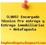 (L965) Encargado Técnico Pre entrega y Entrega inmobiliarias – Antofagasta