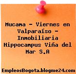 Mucama – Viernes en Valparaíso – Inmobiliaria Hippocampus Viña del Mar S.A
