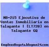 NB-215 Ejecutiva de Ventas Inmobiliaria en Talagante | [LT720] en Talagante GQ