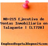 NB-215 Ejecutiva de Ventas Inmobiliaria en Talagante | [LT720]