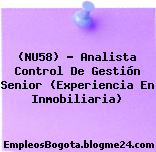 (NU58) – Analista Control De Gestión Senior (Experiencia En Inmobiliaria)