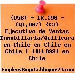 (O56) – IR.296 – (QT.007) (KS) Ejecutivo de Ventas Inmobiliaria/Quilicura en Chile en Chile en Chile | [DLL099] en Chile
