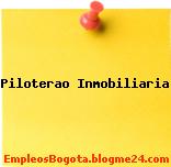 Piloterao Inmobiliaria