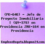 (PK-646) – Jefe de Proyecto Inmobiliaria | (QY-379) en Providencia ZRK-164 en Providencia