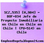 SCZ.535] [H.904] – BOF-834 Jefe de Proyecto Inmobiliaria en Chile en Chile en Chile | (PU-514) en Chile