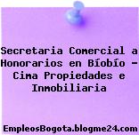 Secretaria Comercial a Honorarios en Bíobío – Cima Propiedades e Inmobiliaria