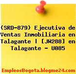 (SRD-879) Ejecutiva de Ventas Inmobiliaria en Talagante | [JW288] en Talagante – U085