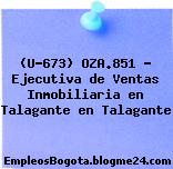 (U-673) OZA.851 – Ejecutiva de Ventas Inmobiliaria en Talagante en Talagante