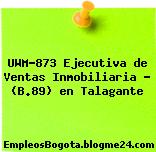 UWM-873 Ejecutiva de Ventas Inmobiliaria – (B.89) en Talagante