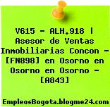V615 – ALH.918 | Asesor de Ventas Inmobiliarias Concon – [FN898] en Osorno en Osorno en Osorno – [A843]