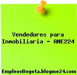 Vendedores para Inmobiliaria – ANE224