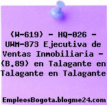 (W-619) – HQ-026 – UWM-873 Ejecutiva de Ventas Inmobiliaria – (B.89) en Talagante en Talagante en Talagante